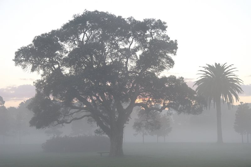 rain in centennial park