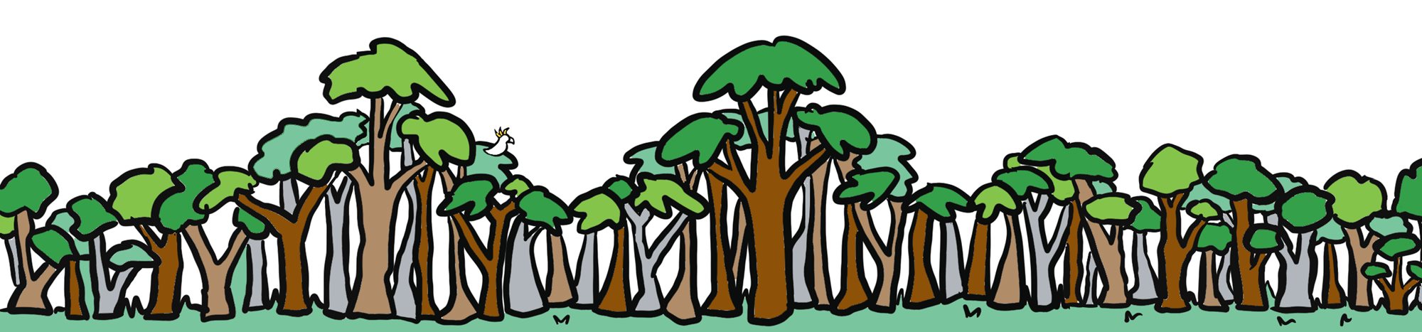 Colour comic banner of forest