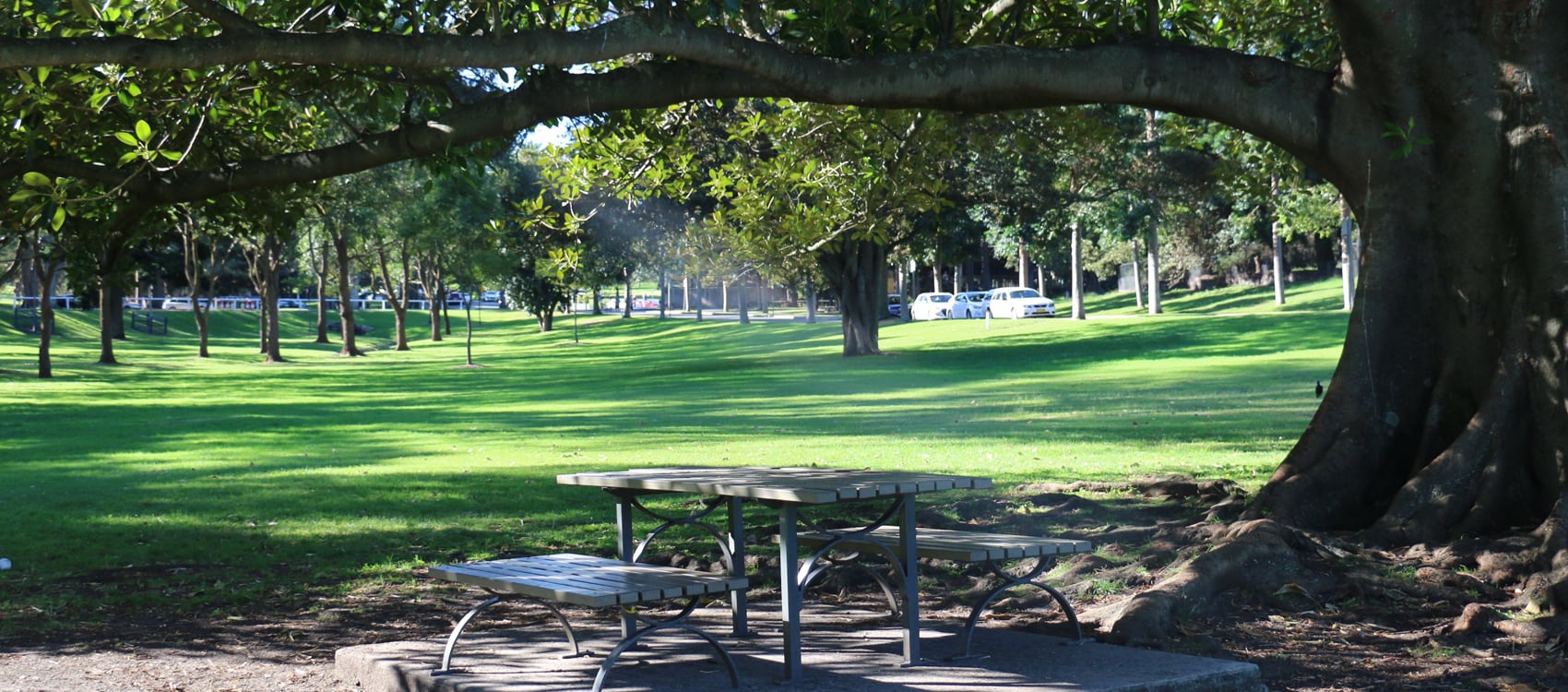 Frog Hollow picnic site Centennial Parklands