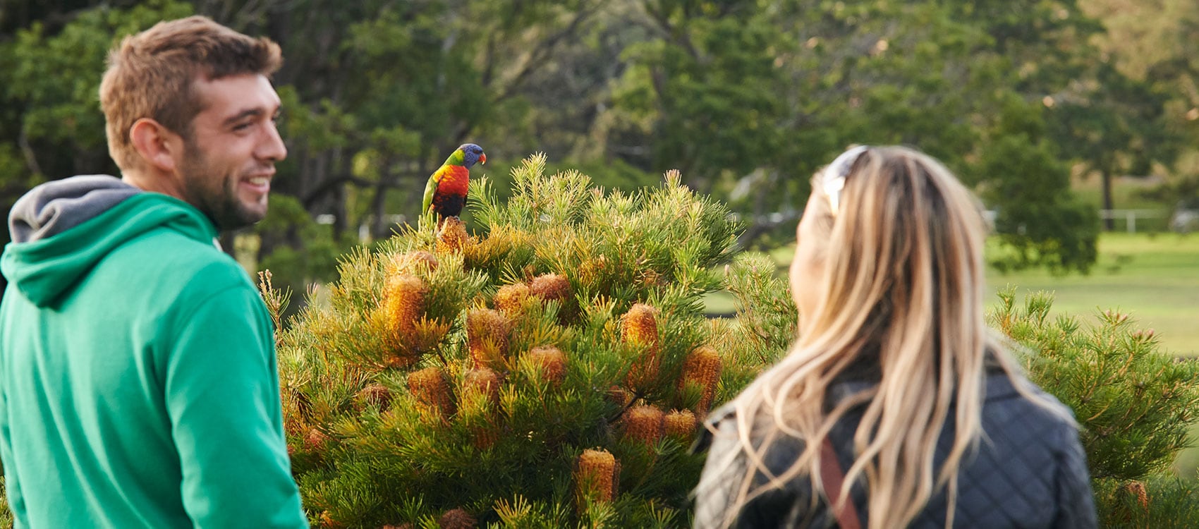 Things To See And Do Centennial Parklands Birdwatching Centennial