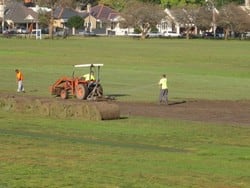 Sports Field Renovations in Queens Park