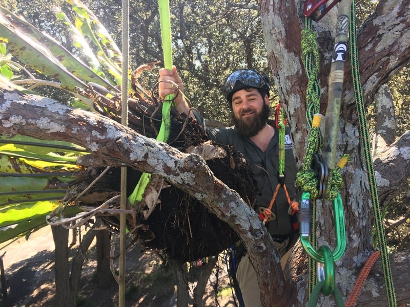 Peter Butler, Senior Arborist