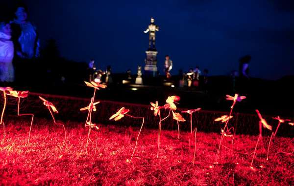 Delicate elements of The Light Garden