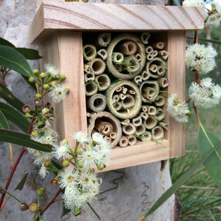 Wood and bamboo bee hotel