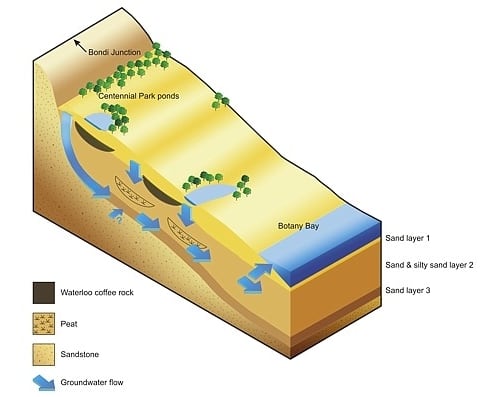 The Botany Aquifer