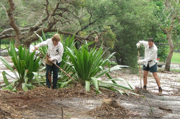 Volunteers are a regular sight in the Bird Sanctuary