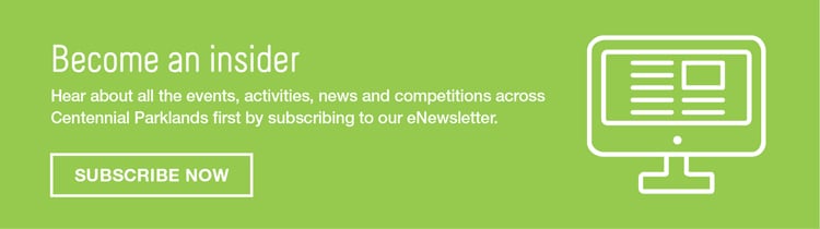 Become an Insider
