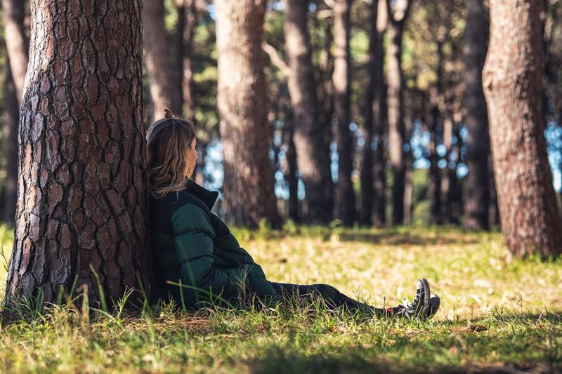 centennial parklands forest bathing