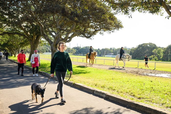 🐶 시드니 최고의 반려견 공원 BEST 7: 우리 댕댕이 견생샷과 힐링을 한 번에!