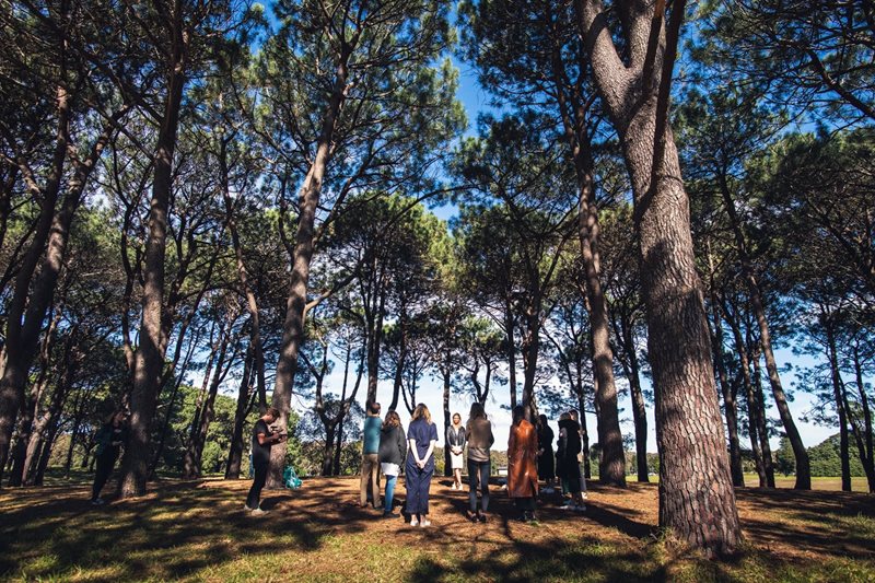 centennial park forest bathing