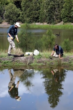 Pond management program run by Green Corps