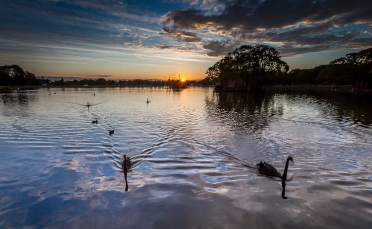 duck pond centennial park