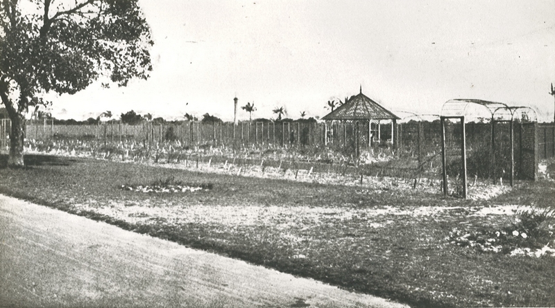 State Library of NSW, Rose Garden, Centennial Park 1914