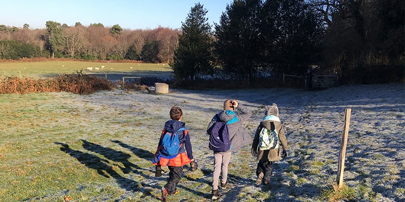 centennial park, nature education, wild play, nature play, outdoor classroom day