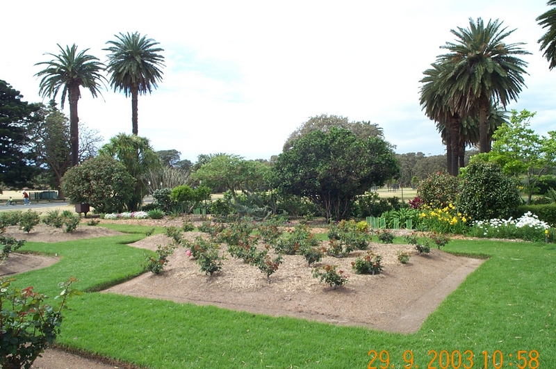 Rose Garden, Centennial Park, 2003