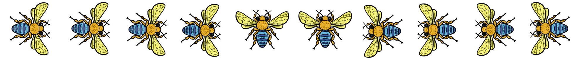 Cartoon strip of Blue Banded bees 