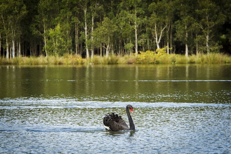 busby pond