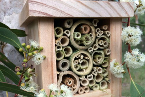 Wood and bamboo insect hotel