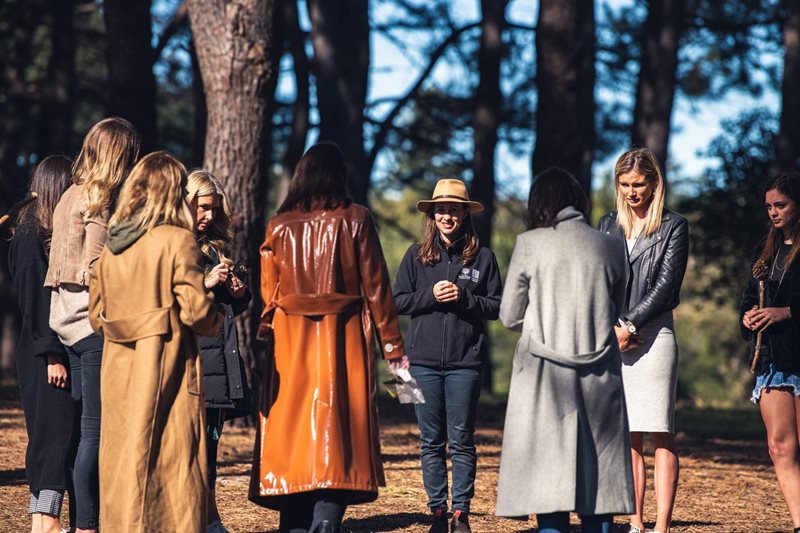 centennial parklands forest bathing