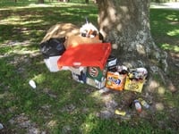 Rubbish left by park visitors after a picnic in the Parklands