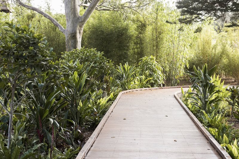 centennial parklands ian potter childrens wild play garden plants are being refreshed