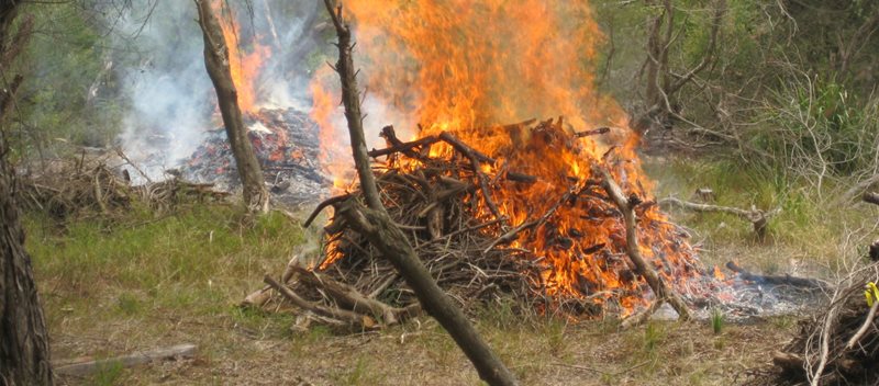Ecological pile burn controlled by NSW Fire