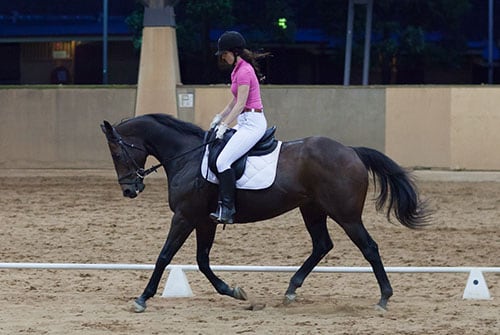 The Centennial Parklands Equestrian Centre Resident Riding Schools - English Equestrian Home Decoration Ideas For School The Centennial Parklands Equestrian Centre Resident Riding Schools - English Equestrian Home Decoration Ideas For School