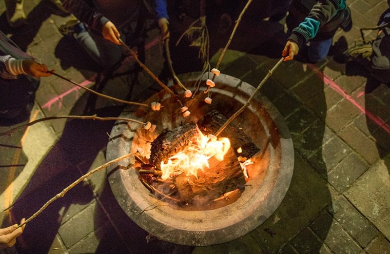 campfire club, centennial park, nature play, nature education
